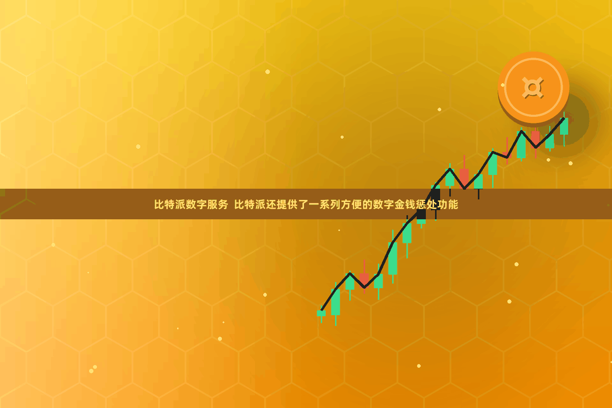 比特派数字服务  比特派还提供了一系列方便的数字金钱惩处功能
